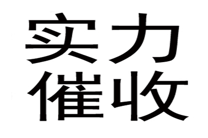 法院诉讼解决债务问题有何后果？